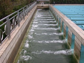 澳港宝典