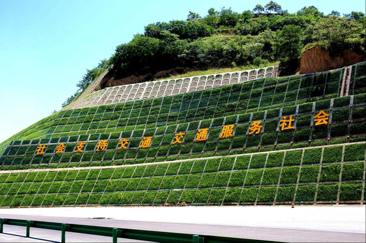澳港宝典