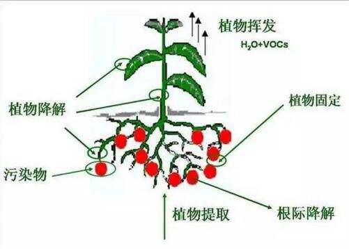 澳港宝典