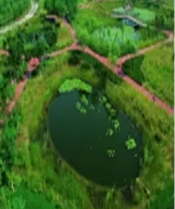 澳港宝典