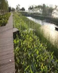 澳港宝典