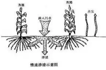 澳港宝典
