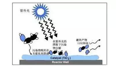 澳港宝典
