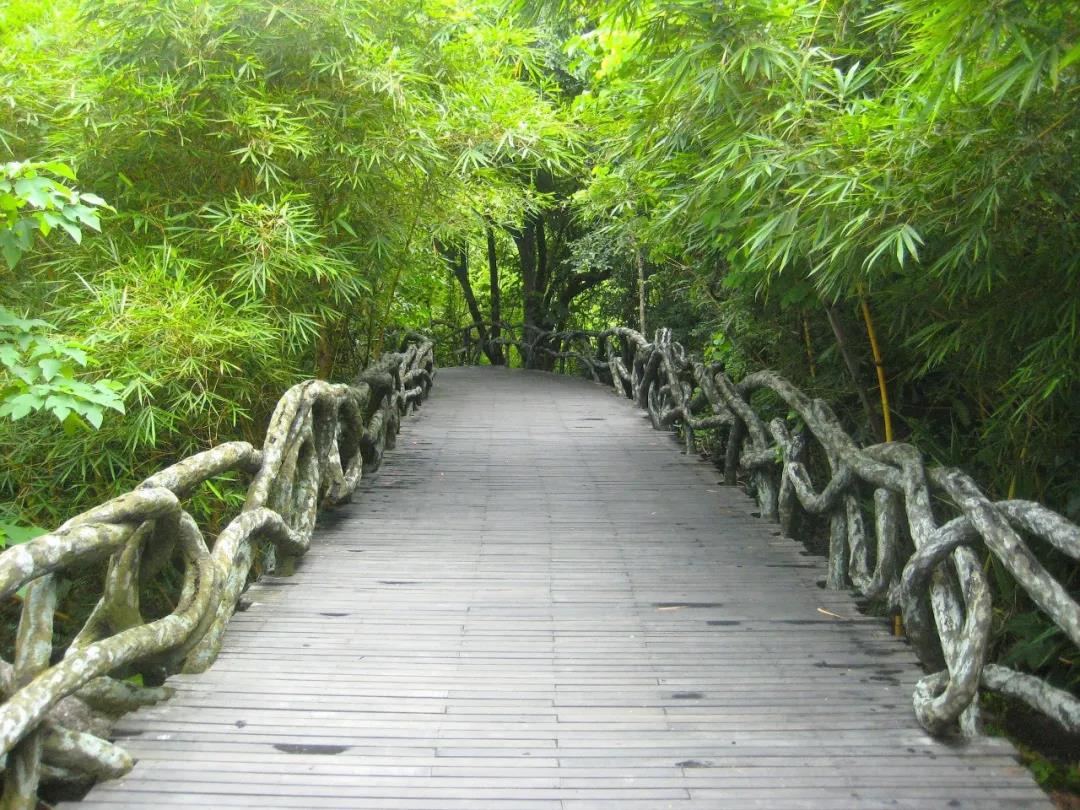 澳港宝典